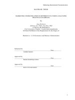 MARKETING COMMUNICATION IN DIFFERENT CULTURES (ANALYZING PRACTICAL EXAMPLES)