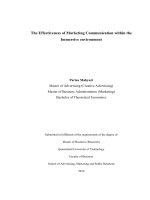 The Effectiveness Of Marketing Communication Within The Immersive Environment