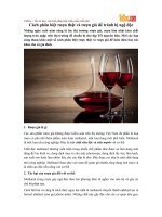 Cách phân biệt rượu thật và rượu giả để tránh bị ngộ độc