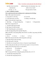 Đề thi học kì 1 môn Vật lý lớp 7 trường THCS Nguyễn Thành Hãn, Quảng Nam năm học 2016 - 2017