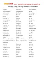 Từ vựng Tiếng Anh lớp 11 Unit 8: Celebrations