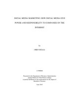 Social Media Marketing How Social Media Give Power And Responsibility To Companies On The Internet