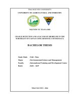 Change detection and analysis of shoreline in the northeast of taiwan using remotely sensed data 