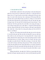 LUẬN văn THẠC sĩ   PHÁT TRIỂN ý THỨC QUỐC PHÒNG  của sĩ QUAN QUÂN đội NHÂN dân VIỆT NAM HIỆN NAY