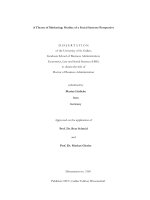 A Theory of Marketing Outline of a Social Systems Perspective