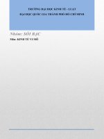 Tiểu luận về đa cấp ở Việt Nam