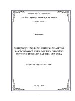 Nghiên cứu ứng dụng chiếu xạ nhằm tạo ra các dòng cà chua đột biến cho năng suất cao từ nguồn vật liệu của Cuba (luận văn thạc sĩ)
