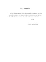 NGHIÊN CỨU PHÒNG CHỐNG BẾ TẮC TRONG CUNG CẤP TÀI NGUYÊN PHÂN TÁN CHO HỆ THỐNG MÁY CHỦ ẢO