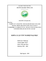 Nghiên cứu ảnh hưởng của men bacifo đến khả năng sinh trưởng, phòng hội chứng tiêu chảy ở lợn f1 từ 60   150 ngày tuổi tại trại chăn nuôi binh minh huyện mỹ đức   hà nội  