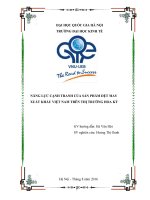 NĂNG LỰC CẠNH TRANH CỦA SẢN PHẨM DỆT MAY XUẤT KHẨU VIỆT NAM TRÊN THỊ TRƯỜNG HOA KỲ