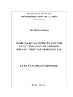 Đánh giá sự vận động của cơ lưng và cột sống ở người lao động khi nâng nhấc vật nặng bằng tay (luận văn thạc sĩ)