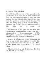 tìm hiểu về pdca a nha