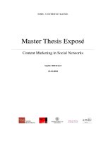 Master Thesis Exposé Content Marketing in Social Networks