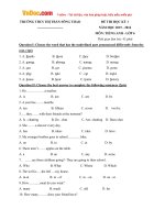 Đề thi học kỳ 1 môn tiếng Anh lớp 6 trường THCS Thị trấn Sông Thao, Phú Thọ năm học 2015 - 2016