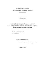 CẤU TRÚC HÌNH HỌC, CẤU TRÚC ĐIỆN TỬ VÀ CÁC ĐẶC TRƯNG CHUYỂN PHA SPIN CỦA MỘT SỐ PHÂN TỬ KIM LOẠI CHUYỂN TIẾP (luận văn thạc sĩ)