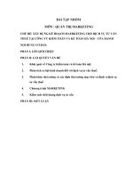 XÂY DỰNG kế HOẠCH MAERKETING CHO DỊCH vụ tư vấn THUẾ tại CÔNG TY KIỂM TOÁN và kế TOÁN hà nội