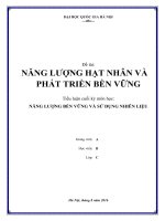 Nghiên cứu về năng lượng hạt nhân