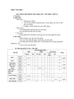 Ma trận đề thi HK1 môn tin học 12