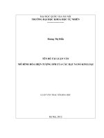 Mô hình hóa hiện tượng SPR của các hạt nano kim loại (luận văn thạc sĩ)
