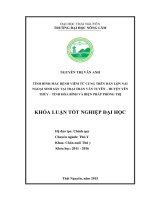 Tình hình mắc bệnh viêm tử cung trên đàn lợn nái ngoại sinh sản tại trại trần văn tuyên – huyện yên thủy – tỉnh hòa bình và biện pháp phòng trị