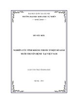 Nghiên cứu tính kháng thuốc ở một số loài muỗi truyền bệnh  tại Việt Nam (luận văn thạc sĩ)