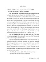 ĐỀ CƯƠNG quản lý nhà nước trong Thương mại điện tử