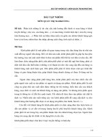 Phân tích sự khác nhau (nếu có) giữa các nhóm khách hàng già hơn và trẻ hơn nhóm theo thu nhập phong cách sống, tính cách cá nhân