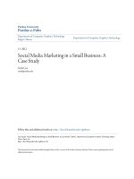 Social Media Marketing in a Small Business A Case Study