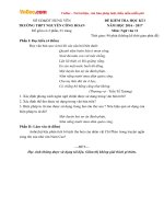 Đề thi học kì 1 môn Ngữ văn lớp 11 trường THPT Nguyễn Công Hoan, Hưng Yên năm học 2016 - 2017