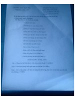 Đề kiểm tra học kì 1 môn Ngữ văn lớp 12 năm học 2015 - 2016 trường THPT Trần Phú, TP. Hồ Chí Minh