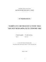 Nghiên cứu chế phẩm xử lý nước thải nhà máy rượu Đồng Xuân, Tỉnh Phú Thọ (luận văn thạc sĩ)