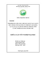 Tình hình mắc tiêu chảy trên đàn lợn từ sau cai sữa đến hai tháng tuổi tại công ty TNHH MTV lợn giống lạc vệ, xã lạc vệ   huyện tiên du   tỉnh bắc ninh và thử nghiệm hai phác đồ điều trị