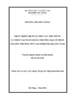 Phát triển dịch vụ cho vay tiêu dùng cá nhân tại ngân hàng thương mại cổ phần sài gòn thương tín (sacombank) quảng nam