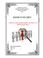 báo cáo nghiên cứu hành vi tổ chức của 1 cá nhân