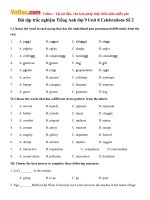 Bài tập trắc nghiệm Tiếng Anh lớp 9 Unit 8 Celebrations Số 2