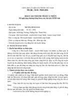 Báo cáo thành tích ca nhân Đề nghị tặng thưởng bằng khen của chủ tịch UBND tỉnh