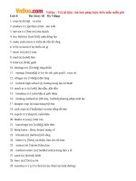 Từ vựng tiếng Anh lớp 10 Unit 8: The story of my village