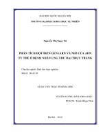 Phân tích đột biến gen tARN và ND3 của ADN ty thể ở bệnh nhân ung thư đại trực tràng (luận văn thạc sĩ)