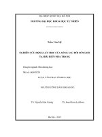 NGHIÊN CỨU ĐỘNG LỰC HỌC CỦA SÓNG SAU ĐỚI SÓNG ĐỔ TẠI BÃI BIỂN NHA TRANG (LUẬN VĂN THẠC SĨ)