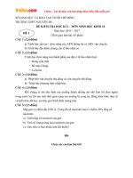 Đề thi học kì 1 môn Sinh học lớp 10 trường THPT Nguyễn Du, TP Hồ Chí Minh năm học 2016 - 2017