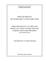 Nghĩa tình thái của câu tiếng việt trong các văn bản văn học giảng dạy ở trường trung học phổ thông (NCKH cấp bộ) (tt)