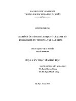 NGHIÊN CỨU TÍNH CHẤT ĐIỆN TỬ CỦA MỘT SỐ PEROVSKITE TỪ TÍNH PHA TẠP ĐẤT HIẾM (LUẬN VĂN THẠC SĨ)