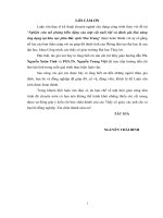 Nghiên cứu mô phỏng biến động của mặt cắt nuôi bãi đánh giá khả năng ứng dụng tại khu vực phía bắc vịnh nha trang 