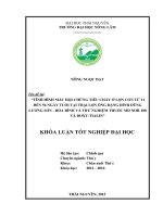 Tình hình mắc hội chứng tiêu chảy ở lợn con từ 21 đến 56 ngày tuổi tại trại lợn ông đặng đình dũng   lương sơn   hòa bình và thử nghiệm thuốc md nor 100 và doxy tialin