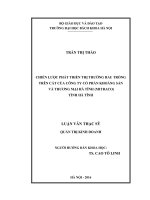 Chiến lược phát triển thị trường rau trồng trên cát của công ty cổ phần khoáng sản và thương mại hà tĩnh (MITRACO) hà tĩnh 
