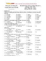 Đề thi học kỳ 1 môn tiếng Anh lớp 8 trường THCS Thị Trấn Hưng Hà, Thái Bình năm học 2015 - 2016