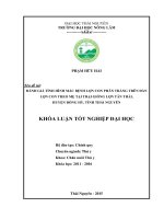 Đánh giá tình hình mắc bệnh lợn con phân trắng trên đàn lợn con theo mẹ tại trại giống lợn tân thái   huyện đồng hỷ   tỉnh thái nguyên