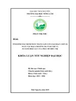 Tình hình mắc bệnh phân trắng lợn con giai đoạn 1 đến 28 ngày tại trại anh dũng   ba vì   hà nội và so sánh hiệu lực của phác đồ điều trị