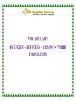 VOCABULARY PREFIXES – SUFFIXES – COMMON WORD FORMATION (Một số tiền tố   hậu tố   và cách biến đổi từ của một số từ vựng phổ biến)