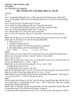 DE CUONG ON TAP HOC HKI VL 10 CB 